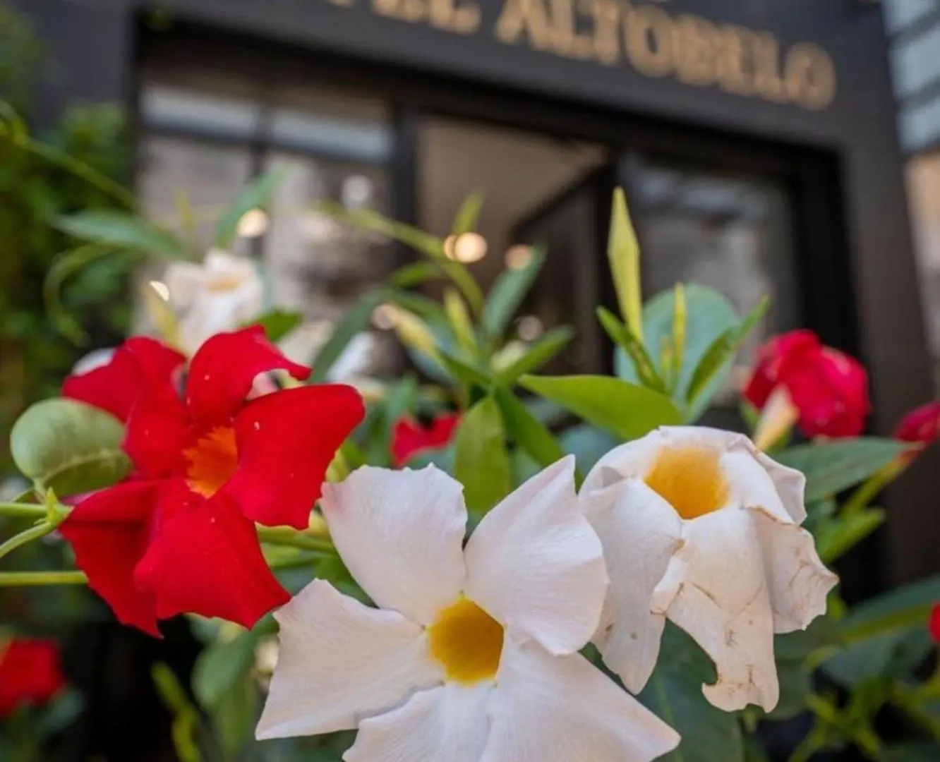 Altobelo Hotel Vlorë